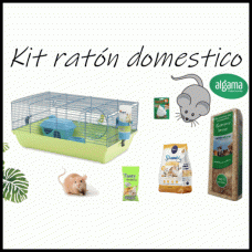 Kit completo ratón doméstico